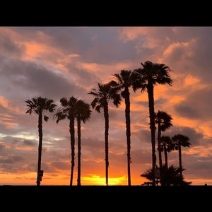 Meet your Posher, Maura